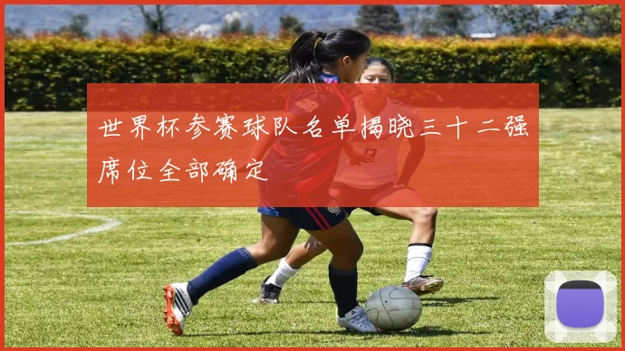 世界杯参赛球队名单揭晓三十二强席位全部确定
