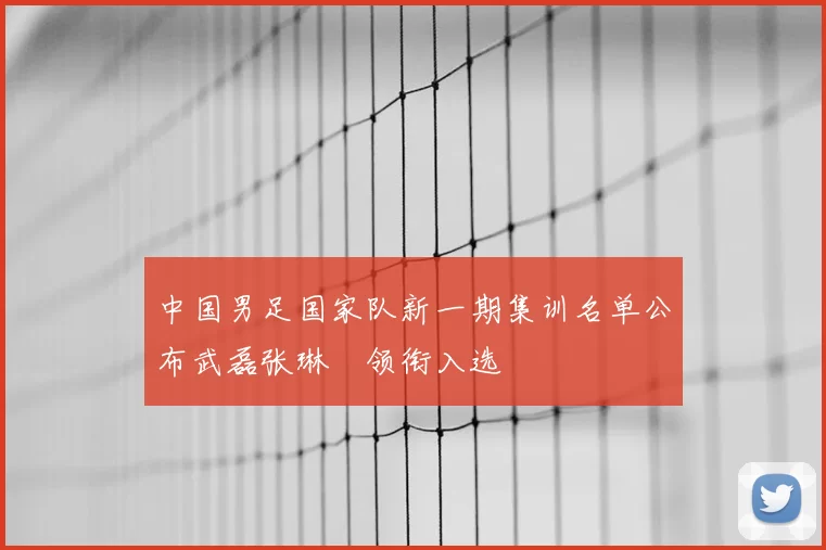 中国男足国家队新一期集训名单公布武磊张琳芃领衔入选