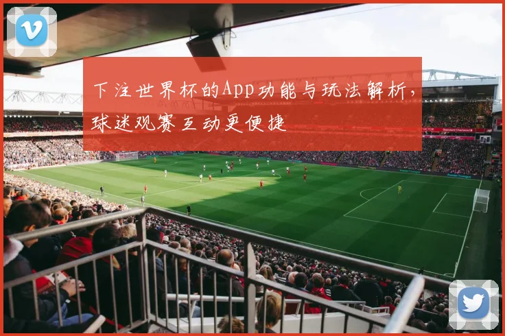 下注世界杯的App功能与玩法解析,球迷观赛互动更便捷