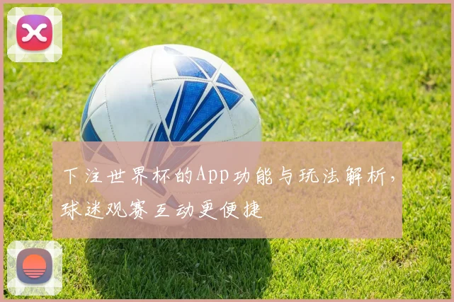 下注世界杯的App功能与玩法解析,球迷观赛互动更便捷
